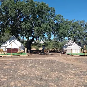 Glamping Glamping